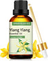 Ylang Ylang Essential Oil 3.38 oz, 100% Pure Aromatherapy Oil for Diffuser, Perfumes, Massage, Soap Making