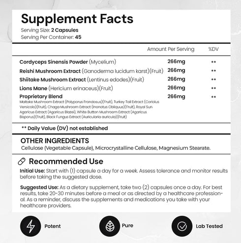 ACEWORKZ 10 Mushroom Complex Supplement - Lion’s Mane, Reishi, Cordyceps & More for Brain Health, Memory & Focus (90