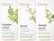 Frankincense & Myrrh Essential Oil for Diffuser & Sandalwood Essential Oils for