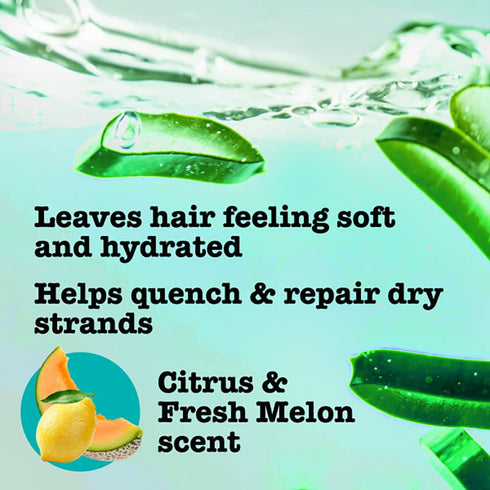 Maui Moisture Heal & Hydrate + Shea Butter Shampoo + Conditioner, 13 Fl Oz, for Tight Curly Hair