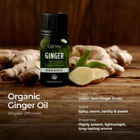 Gya Labs USDA Certified Organic Ginger Essential Oil for Skin - 100% Pure Natural Organic Ginger Oil for Hair & Diffuser