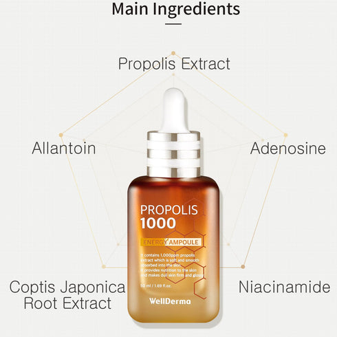 WellDerma Propolis Facial Ampoule for Dry & Sensitive Skin, Hydrating Korean Essence for Face Beauty - 1.69oz 50ml