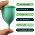 Set 2 100% SHORDY Reusable Menstrual Cups (Small & Large) of with Box, Soft Silicone, Copa Menstruelle, Period Cup