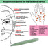 TOP SEWING Jade Acupuncture Pen Deep Tissue Gua Sha Massage Tools Natural Facial Tool Manual Acupuncture Massage Pen