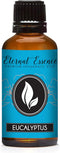 Eternal Essence Oils Eucalyptus 30ml Premium Fragrance Oil for Candle, Soap Making, Aromatherapy & Diffusers