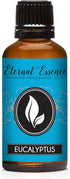 Eternal Essence Oils Eucalyptus 30ml Premium Fragrance Oil for Candle, Soap Making, Aromatherapy & Diffusers