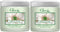 Clear Air Odor Absorber Gel, 15 oz, Pack of 2, Spring Rain Scent for Bathrooms, Cars, Boats