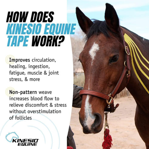 Kinesio Equine Tape - Tex Gold FP Horse Tape, 2”x 16’ Roll, Made Specifically for Horses