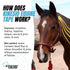 Kinesio Equine Tape - Tex Gold FP Horse Tape, 2”x 16’ Roll, Made Specifically for Horses