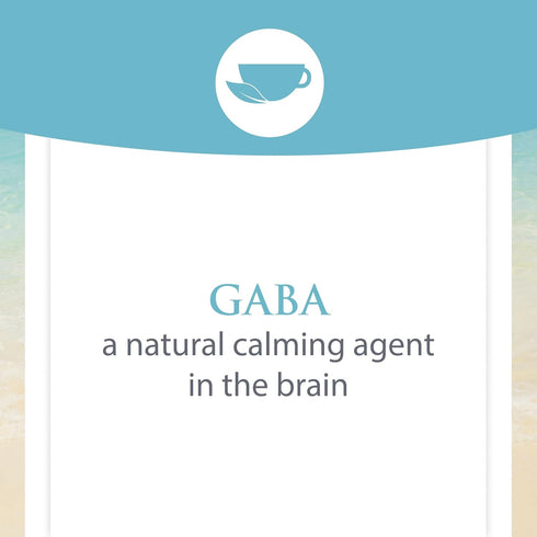 Natural Factors Stress-Relax Pharma GABA 250 mg - Non-Drowsy Stress Support for Relaxation & Mental Focus, 60 Capsules