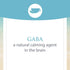 Natural Factors Stress-Relax Pharma GABA 250 mg - Non-Drowsy Stress Support for Relaxation & Mental Focus, 60 Capsules