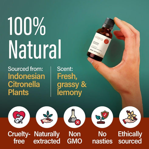 H’ana Citronella Oil, 100% Pure and Natural Essential Oil for Candle Making and Aromatherapy - 1 Fl Oz