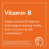Now B-100 Vitamin - Nervous System Health Dietary Supplement Capsule