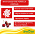 Greenfield Nutritions Halal Vitamin B12 1000mcg - 60 Sublingual Tablets - Cherry Flavored Fast Absorption