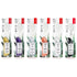 RADIUS Big Brush Toothbrush, BPA Free & ADA Accepted, Right Hand, Assorted, Pack of 6
