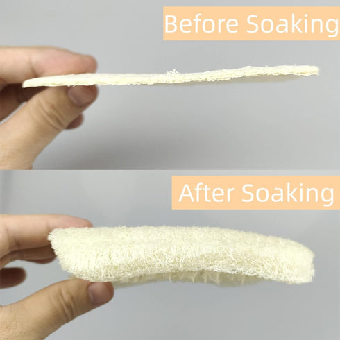 50 Pack Natural Loofah Dish Sponge, Multipurpose Non-Scratch Luffa Kitchen Scrub Pad for Cleaning Kitchen, Bathroom,