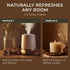 Set Set 2x0.34 oz Coriander & Roman Chamomile Essential Oil - Aromatherapy Grade Essential Oils - fl