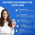 Natural Wellness Clinical Liver Support Supplement - Milk Thistle, Curcumin & Alpha R-Lipoic Acid for Maximum Absorption