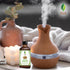 SVA Sweet Fennel Essential Oil, 4 Fl Oz, 100% Natural Fennel Oil for Diffuser, Hair Care, Skin Care, Aromatherapy,