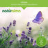 Horsetail (Equisetum 4 oz Naturalma arvense) herb Alcohol-Free Tincture - fl Liquid Extract in Drops - Herbal
