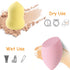 24pcs Makeup Sponge Blender Set, 21 Pcs Latex-Free Vegan Sponges with 3 Pcs Blender Holder for Liquid Cream (Style 1)