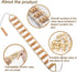 Wooden Therapy Massage Tools for Body Sculpting, Back Massage Roller Rope, Manual Cellulite Massage Maderoterapia Kit