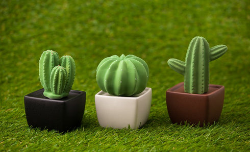 Tri Cactus, Non-Electric Ceramic Diffusers for Essential Oils and Aromatherapy Fragrance, White Ceramic Diffusers