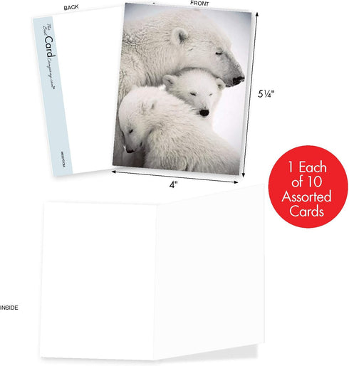 The Best Card Company - 10 Assorted Blank All Occasions Notes Box Set (4 x 5.12 Inch) with Envelopes - Kid Cards