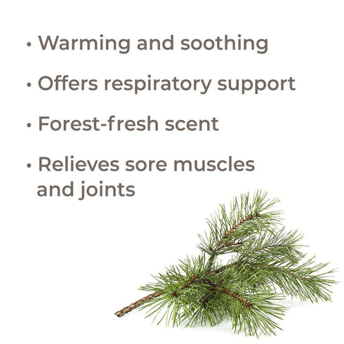 Plant Therapy Scots Pine Essential Oil 10 mL (1/3 oz) 100% Pure, Undiluted, Therapeutic Grade