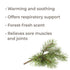 Plant Therapy Scots Pine Essential Oil 10 mL (1/3 oz) 100% Pure, Undiluted, Therapeutic Grade