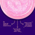 Unicorn Snot Face & Body Glitter - Holographic Cosmetic-Grade Glitter Gel, 1.7oz Pink Flamingo