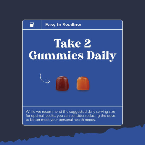 Daily Mens Multivitamins Gummies - 90 Count - with Zinc and Biotin - Immune Support Gummies