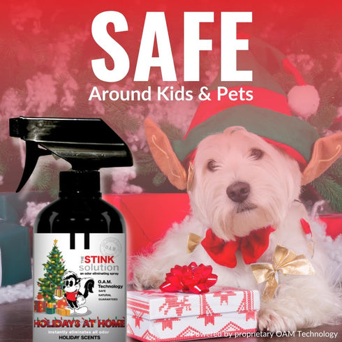 Holiday Odor Eliminating Spray for Must & Leftover Food - Safe to Spray on Skin & Furniture - 2 Bottles (16 oz)
