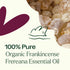 Plant Therapy Organic Frankincense Frereana Essential Oil, 100% Pure, 10 mL (1/3 oz)