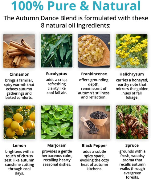 Set Wild Essentials Autumn Dance Aromatherapy Gift Inhaler, Roll-On, Room Spray & Essential Oil Seasonal Comfort Blend