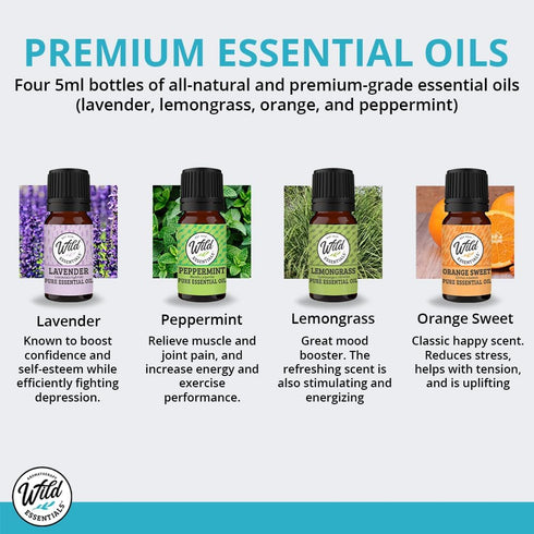 Wild Essentials Potter Hallows Essential Oil Car Vent Diffuser Kit with Lavender, Lemongrass, Peppermint, Orange Oils
