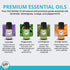 Wild Essentials Potter Hallows Essential Oil Car Vent Diffuser Kit with Lavender, Lemongrass, Peppermint, Orange Oils