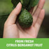 Citrus Bergamot Extract 1000mg | 120 Capsules | Ultra Concentrated 25:1 Extract | Gluten-Free Non-GMO Vegan Supplement