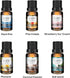 CAKKI Summer Essential Oils Set for Diffusers, 6X10ml with Coconut Passion, Plumeria, Pina Colada, Aqua Kiss