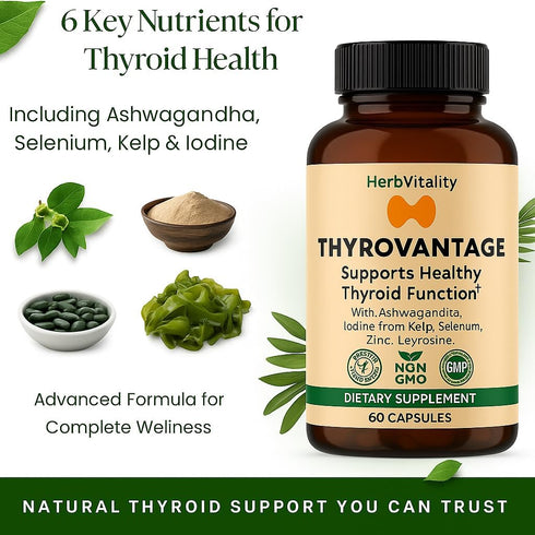 Thyroid Support Supplement with Iodine, Ashwagandha & Kelp Supports Energy, Metabolism & Hormone Balance Formula