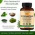 Thyroid Support Supplement with Iodine, Ashwagandha & Kelp Supports Energy, Metabolism & Hormone Balance Formula