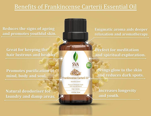 SVA Frankincense Essential Oil, 1/3 Oz (Boswelia Carterii) - 100% Pure, Natural for Skin and Hair Care