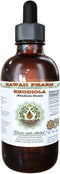 Rhodiola Alcohol-Free Liquid Extract - Organic Rhodiola (Rhodiola Rosea) Dried Root Glycerite, 2 oz
