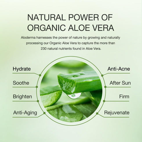 Aloderma Hydrating Sheet Face Masks with 87% Organic Aloe Vera - 5 Pack Moisturizing Masks with Hyaluronic Acid