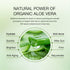 Aloderma Hydrating Sheet Face Masks with 87% Organic Aloe Vera - 5 Pack Moisturizing Masks with Hyaluronic Acid