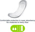 Amazon Basics Thick Maxi Pads for Periods, Super Absorbency, Unscented, 48 Count, 1 Pack