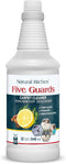 Natural Riches Organic Upholstery Carpet Cleaner Shampoo Solution, Miracle Stain Remover Deodorizing Formula, 32 fl oz