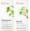Petitgrain Essential Oil for Skin & Neroli Essential Oil for Skin Set