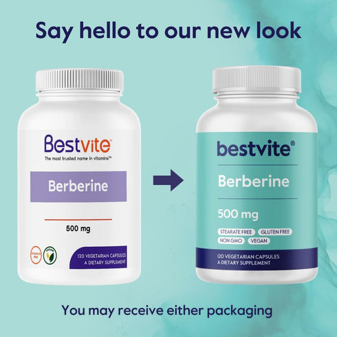 BESTVITE Berberine 500mg Per Capsule (120 Vegetarian Capsules) - No Fillers, Vegan, Gluten Free