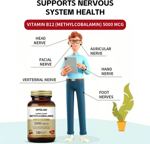 Vitamin B12 (Methylcobalamin) 5000 mcg, Folic Acid (Vitamin B9 Folate) 120 Chewable Tablets for Cirrhosis and Liver